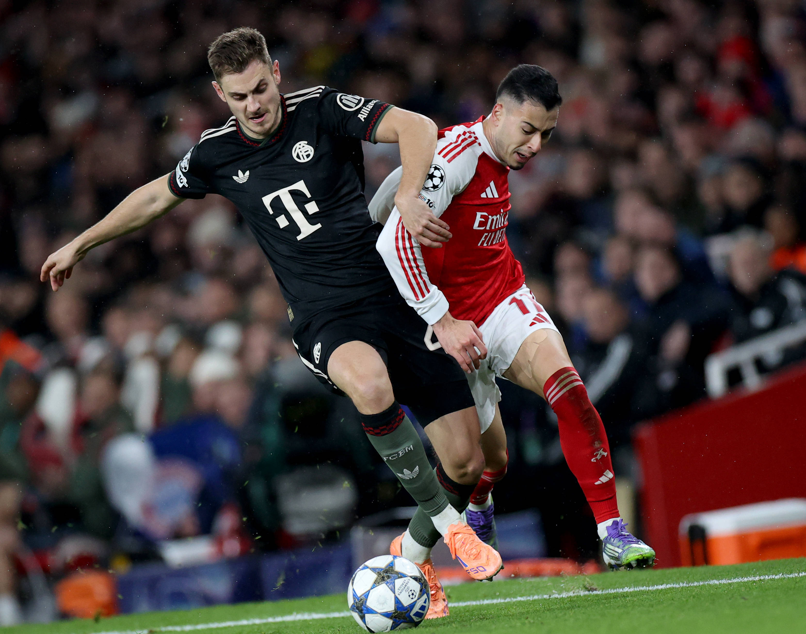 英国训犬公司：英超球员在家养一条护卫犬能降低安全风险（英国训犬机构称：英超球员在家饲养护卫犬可降低安保风险）